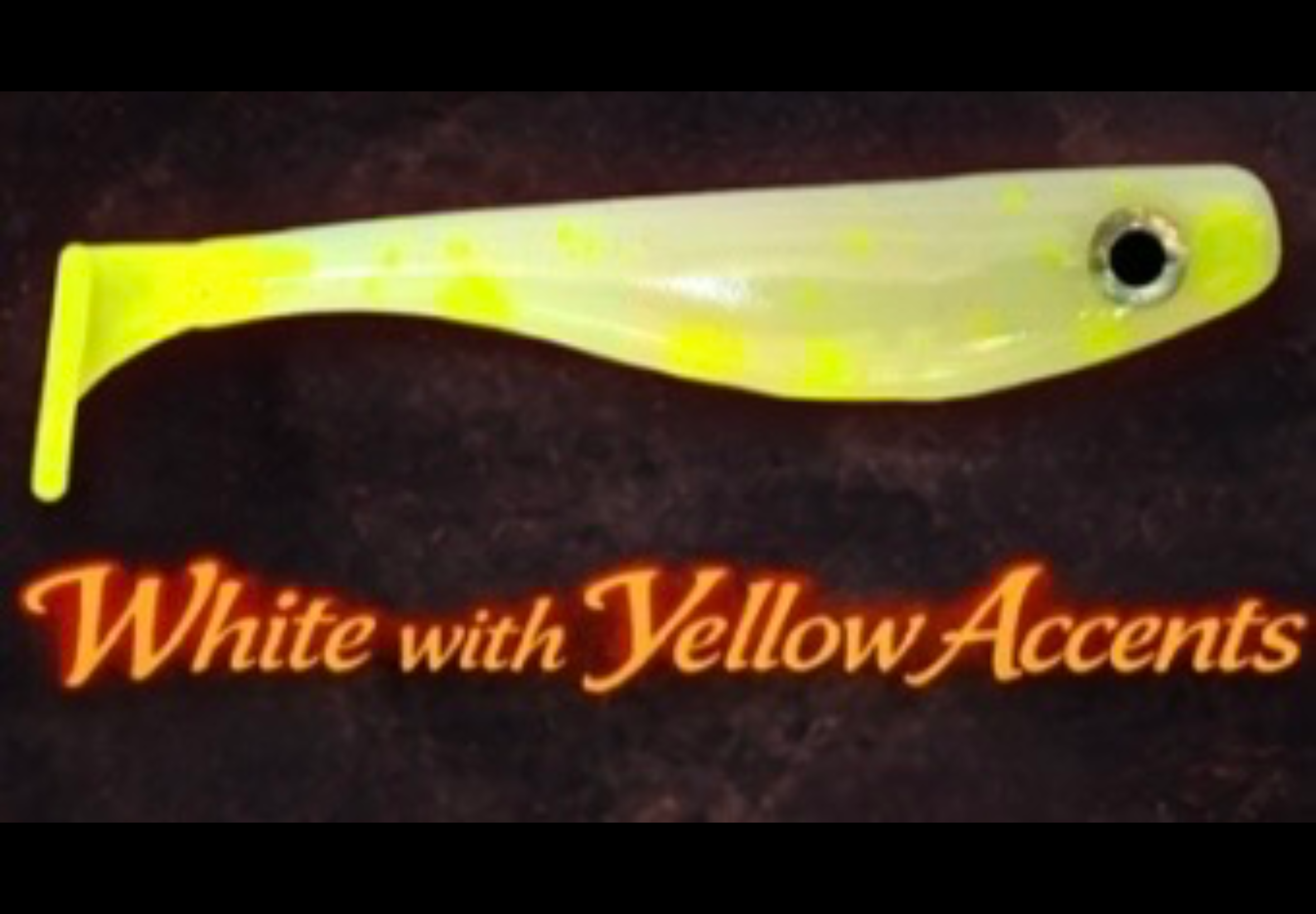 White with Yellow Accents 4 inch (3 pack)