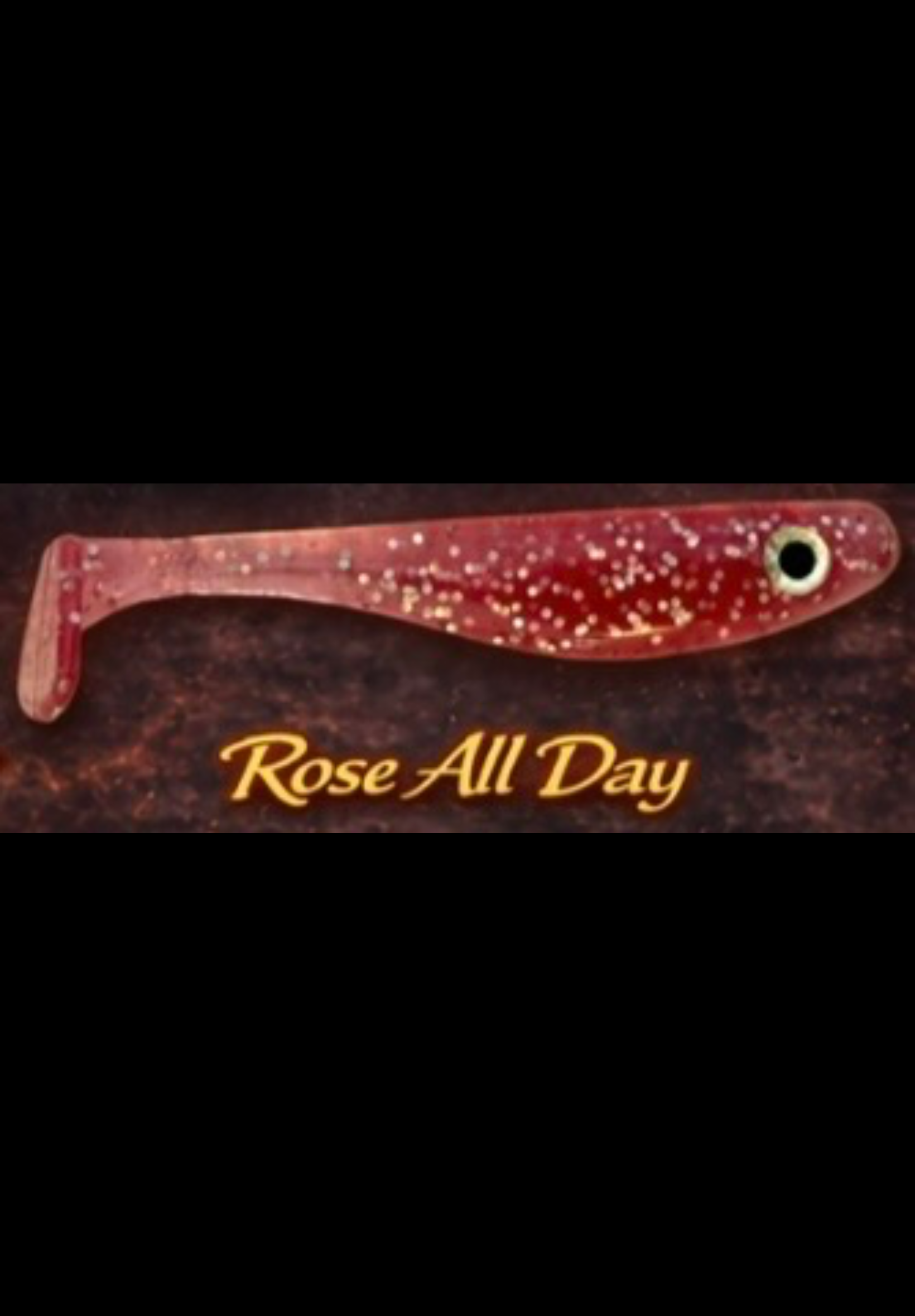 Rose All Day 4 inch (3 pack)
