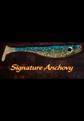 Signature Anchovy 4 inch (3 pack)